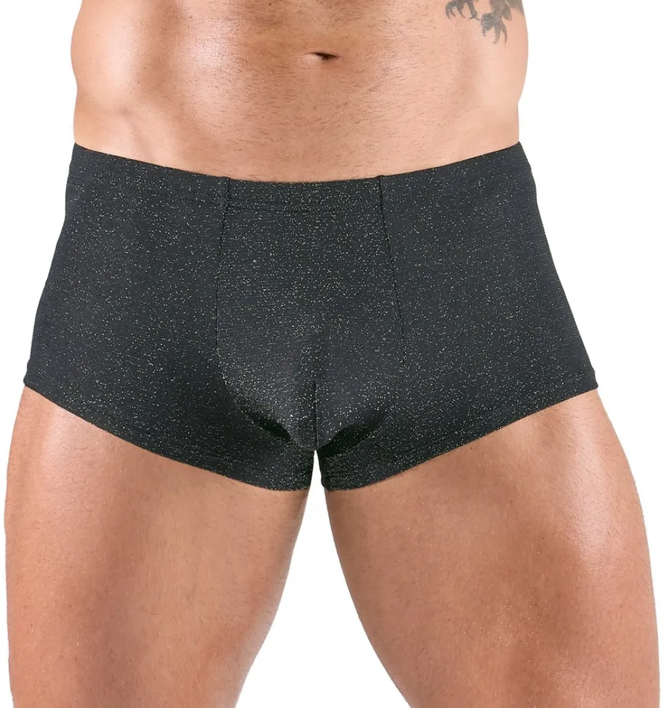 Herren Pants im edlen Look