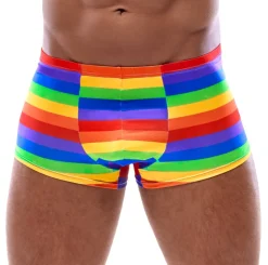 Regenbogen Pants PRIDE