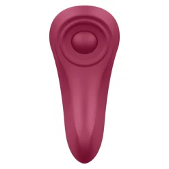 Sexy Secret Panty Vibrator wine red